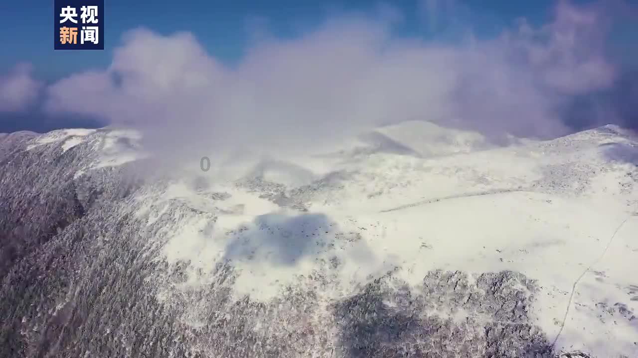 脑洞小老弟无实名认证