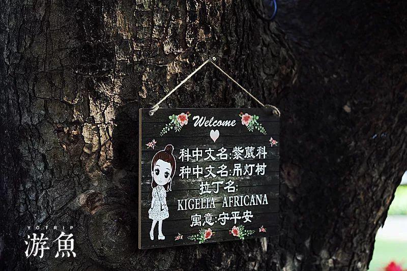 金准医学检验室违法细节披露,其中有哪些细节值得关注?-让知识之花在你心中绽放。