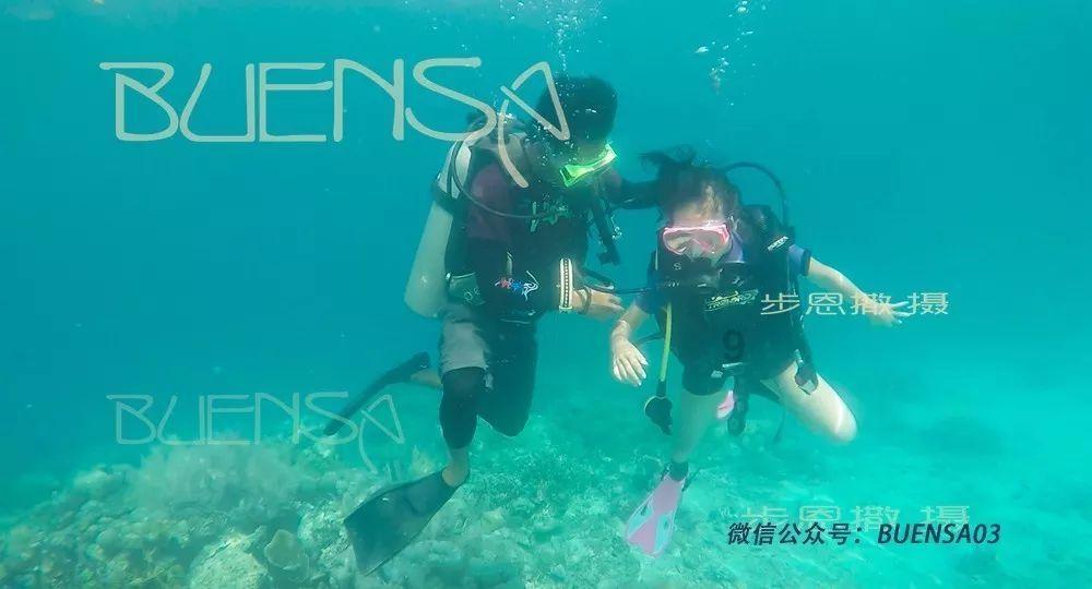 动物帮帮忙保卫家园