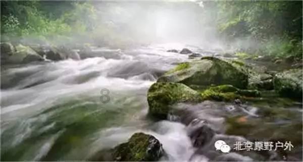 加入要辞职,老板不答应怎么办?已经提出三个月了?强制走他不给我结工资怎么办?,与专业达人共同探索知识星球