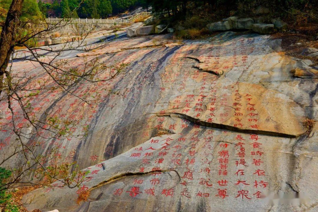 虫虫助手下载